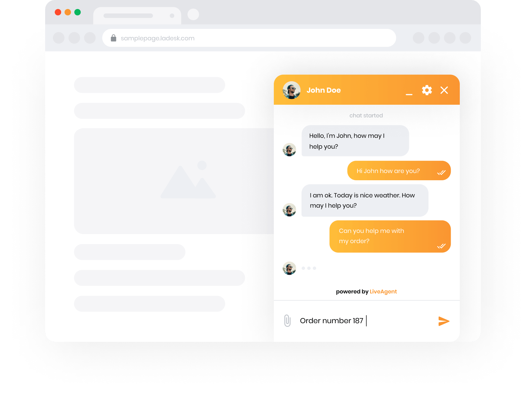 LiveAgent live chat view